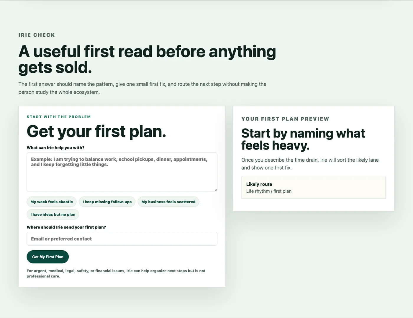 Close-up screenshot of the Irie Check intake form and first plan preview